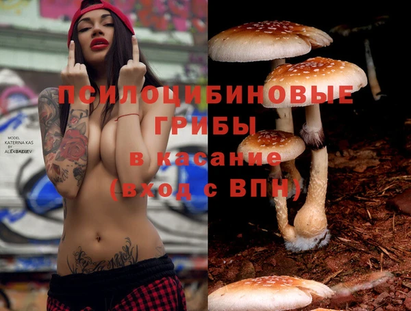 спиды Беломорск