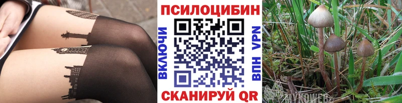 Псилоцибиновые грибы мицелий  Видное 